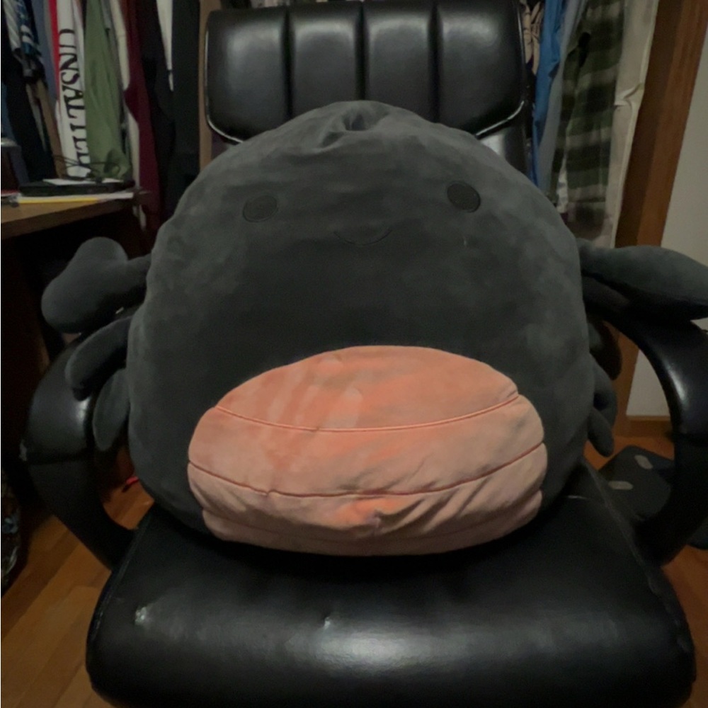Squishmallow Black and Pink Plush Toy